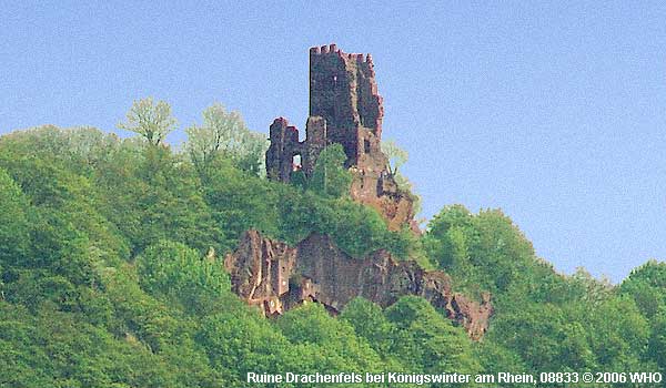 Ruin Drachenfels near Konigswinter on the Rhine River